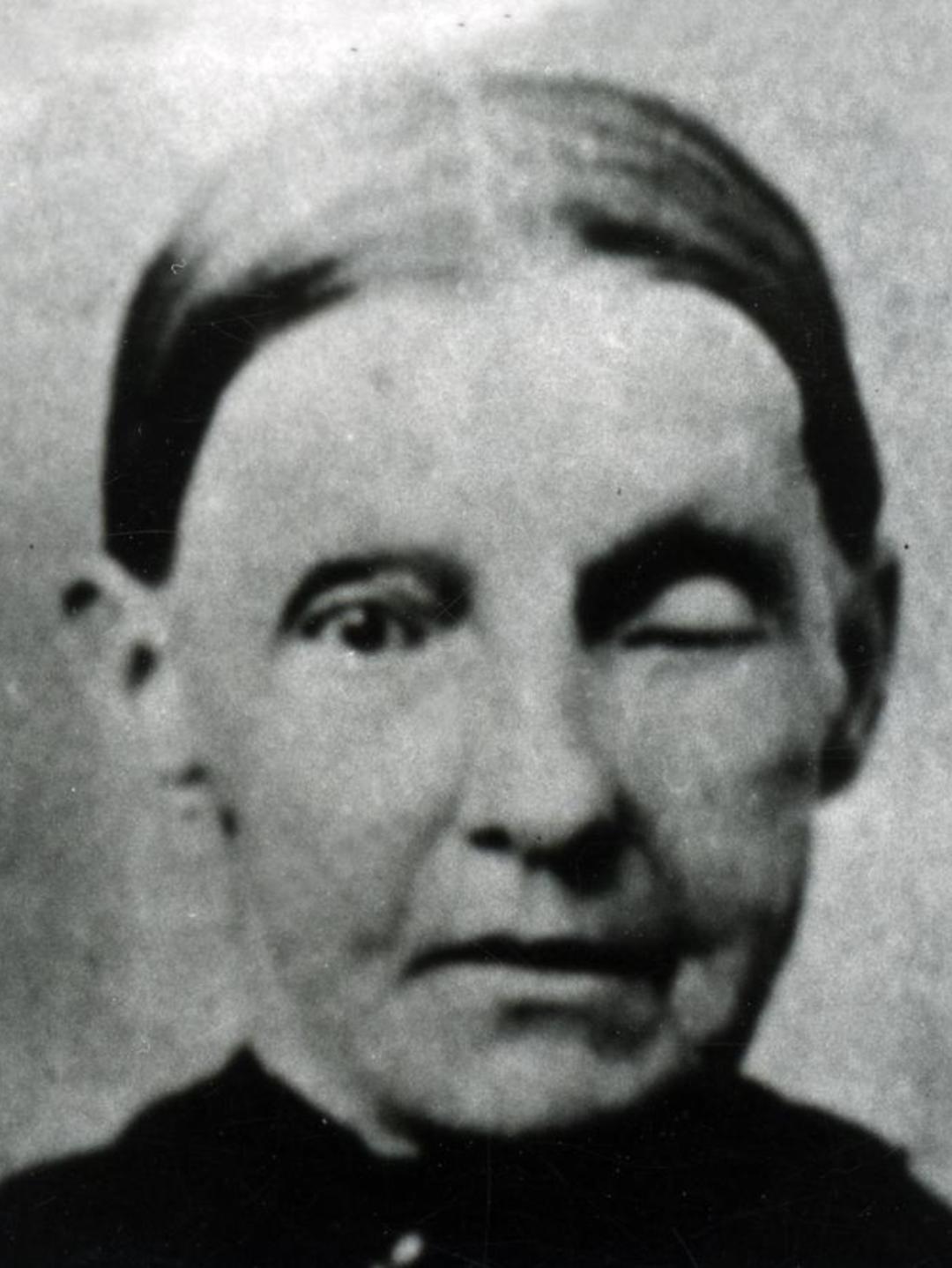 Sarah Wood (1823 - 1903) Profile